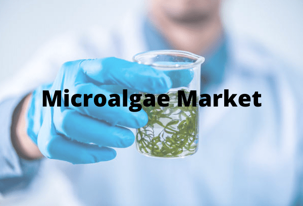 Microalgae Market Analysis and Forecast to 2030 Report