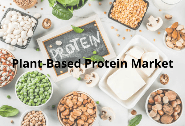 Plant-Based Protein Market Analysis and Forecast till 2030 Report