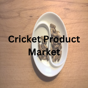 Cricket Product Market